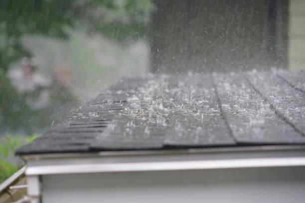 Best Roof Insulation Installation  in Wheat Ridge, CO